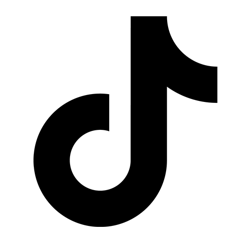 TikTokアイコン